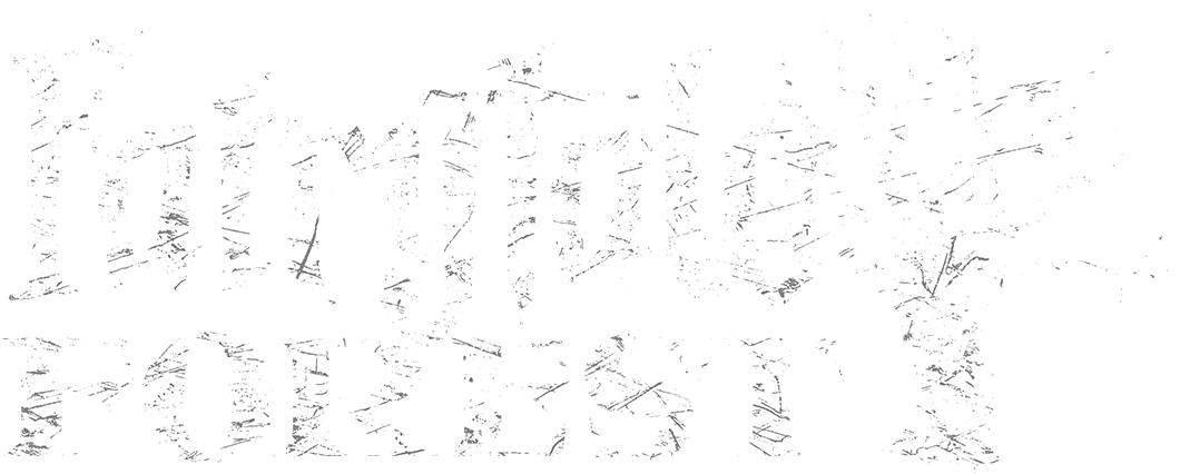 fairytale forest logo